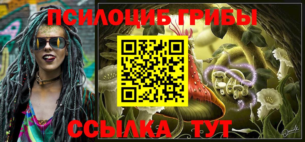Псилоцибиновые грибы мухоморы  купить наркотик  Гулькевичи  Псилоцибиновые грибы Magic Shrooms  Вход с VPN 